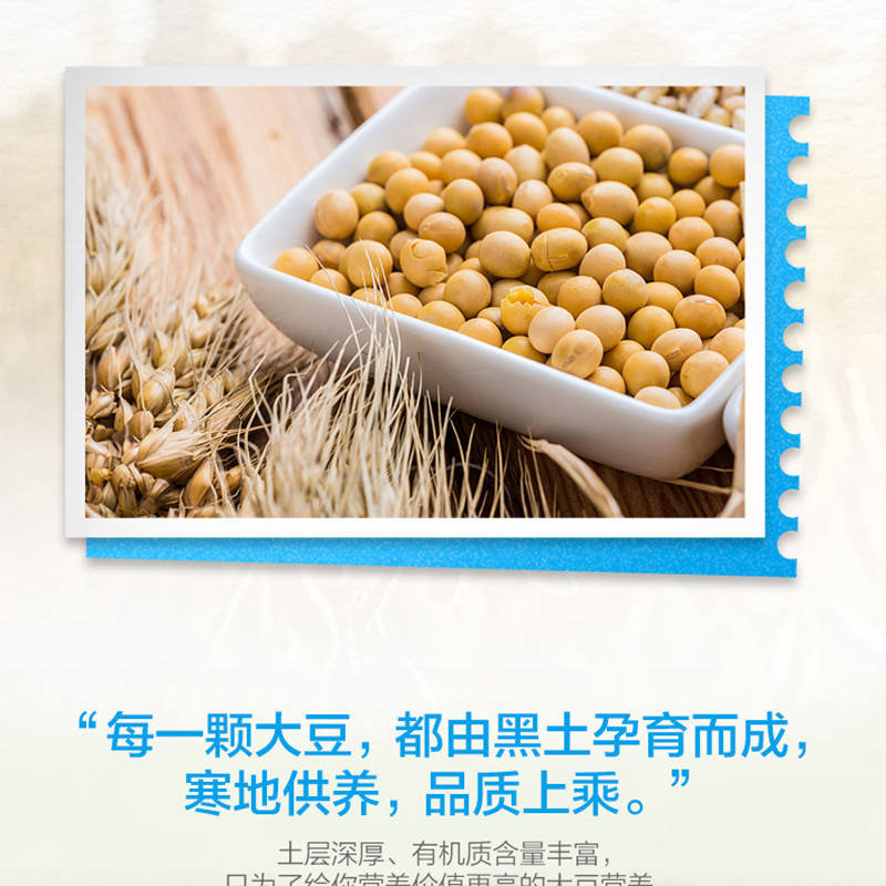未标题-1-恢复的_05.jpg