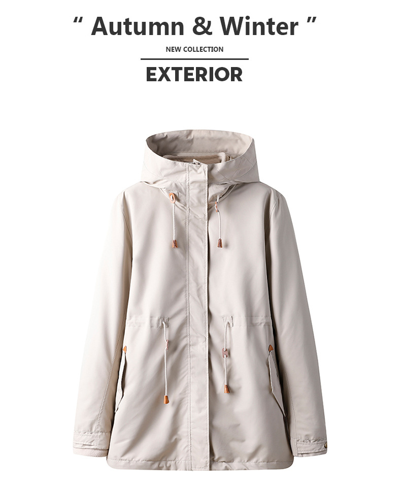 描述21.jpg 描述21.jpg