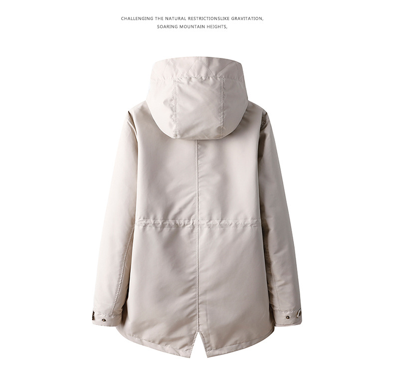 描述22.jpg 描述22.jpg