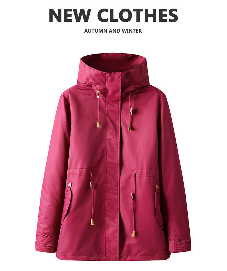 描述23.jpg 描述23.jpg