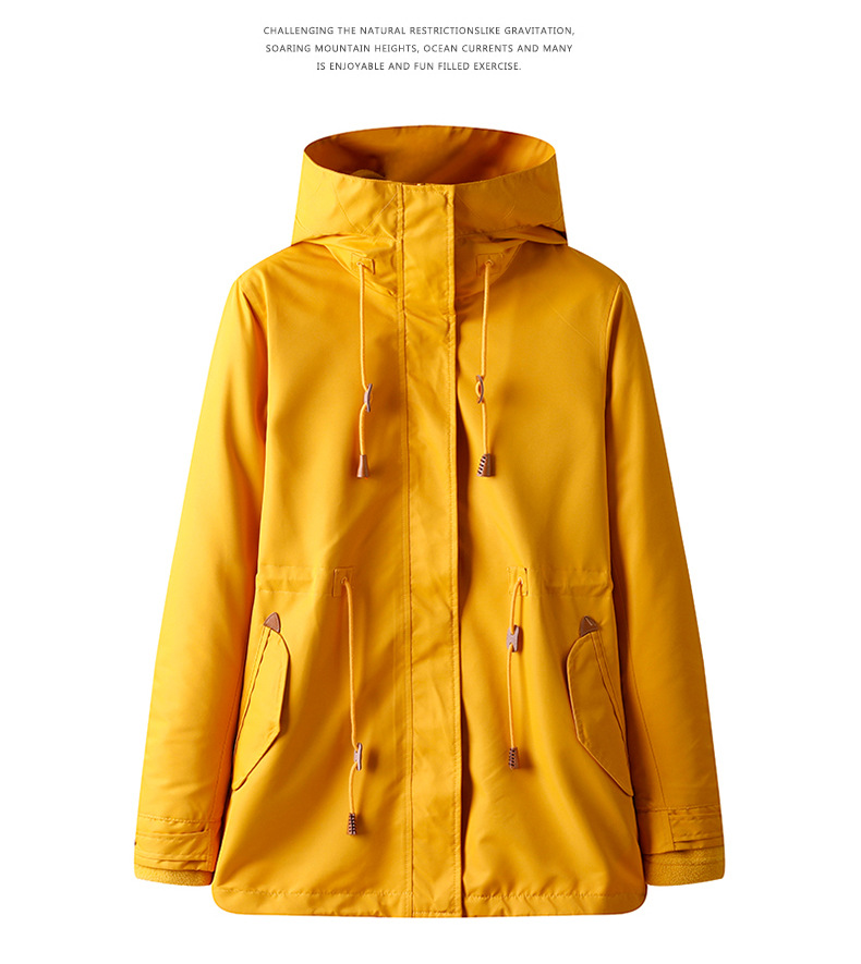 描述24.jpg 描述24.jpg