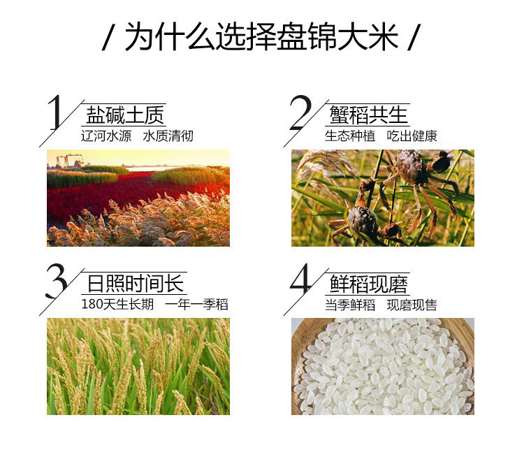 5.jpg 5.jpg