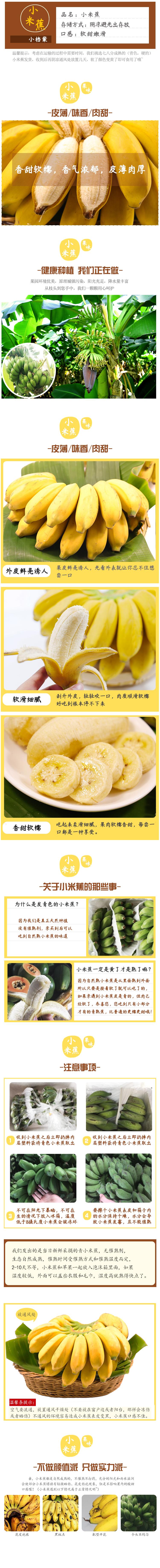 详情页香蕉-小米蕉.jpg