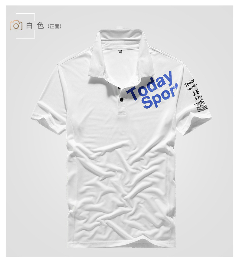 描述12.jpg 描述12.jpg