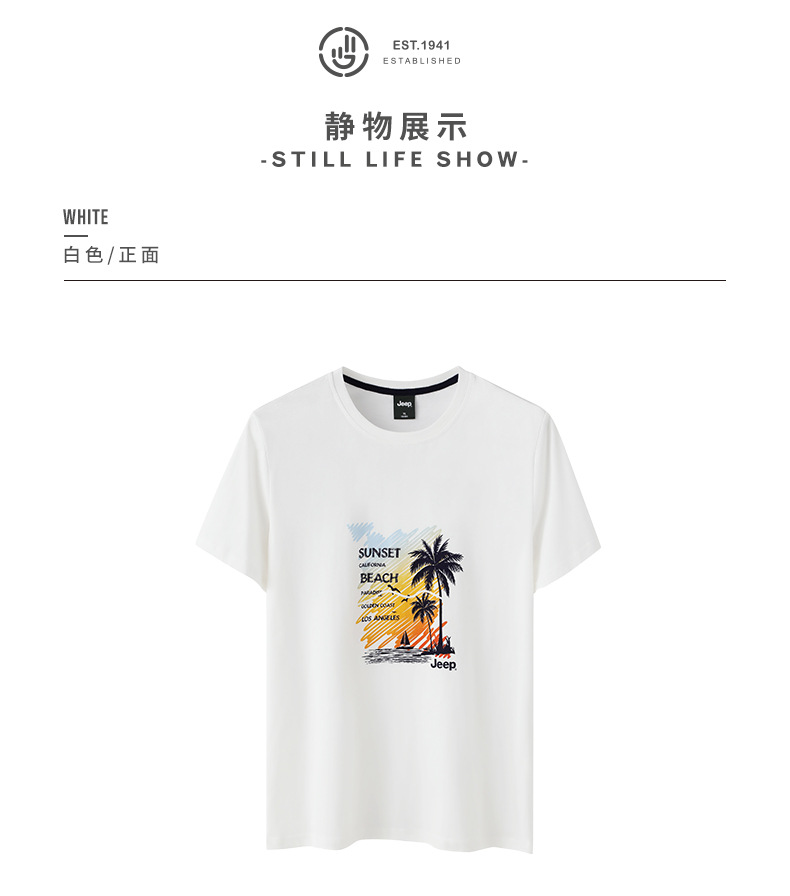 描述17.jpg 描述17.jpg