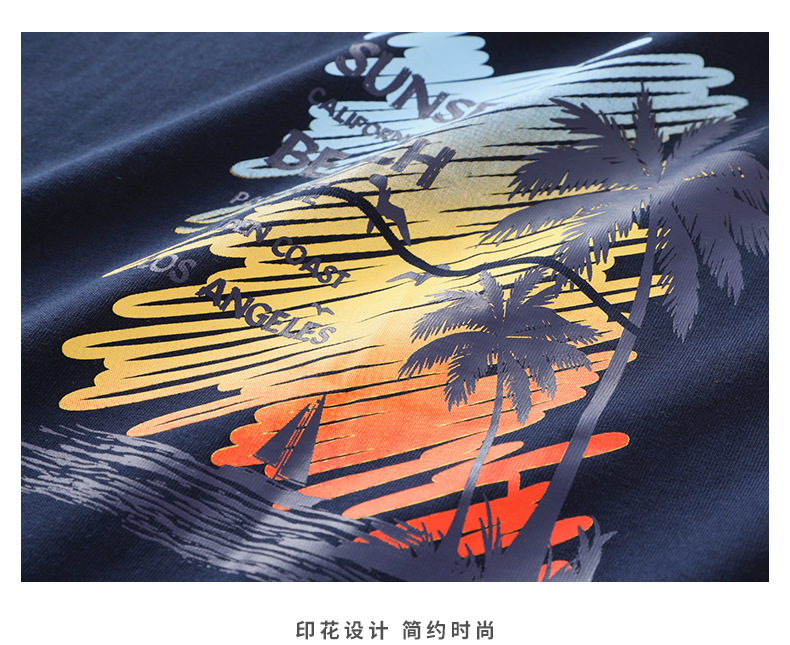 描述21.jpg 描述21.jpg