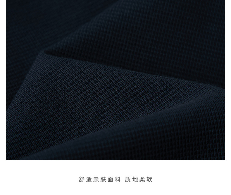 描述21.jpg 描述21.jpg