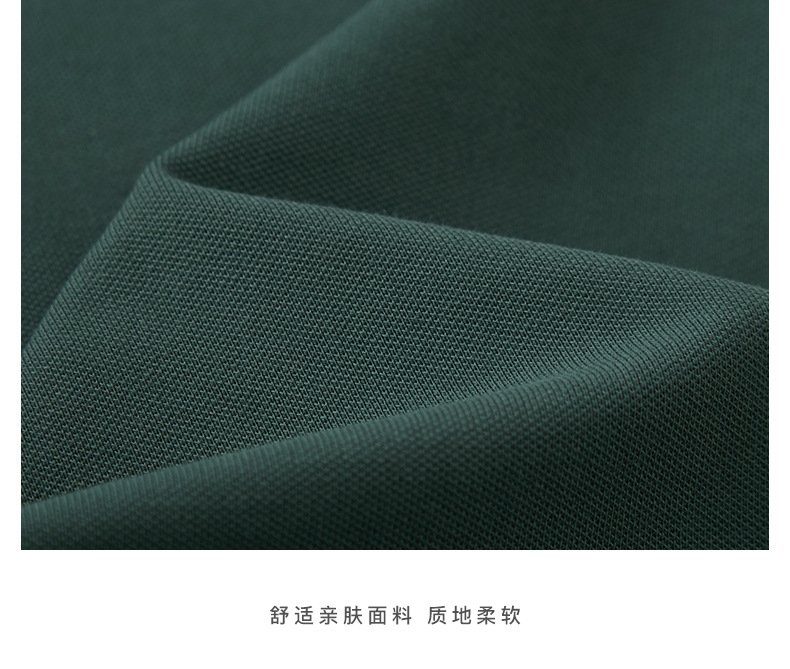 描述19.jpg 描述19.jpg