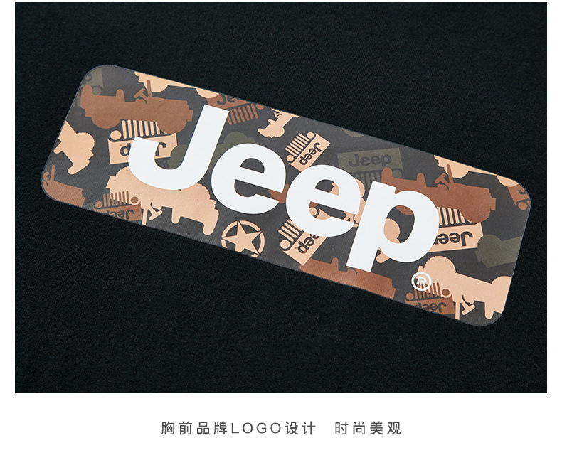 描述21.jpg 描述21.jpg