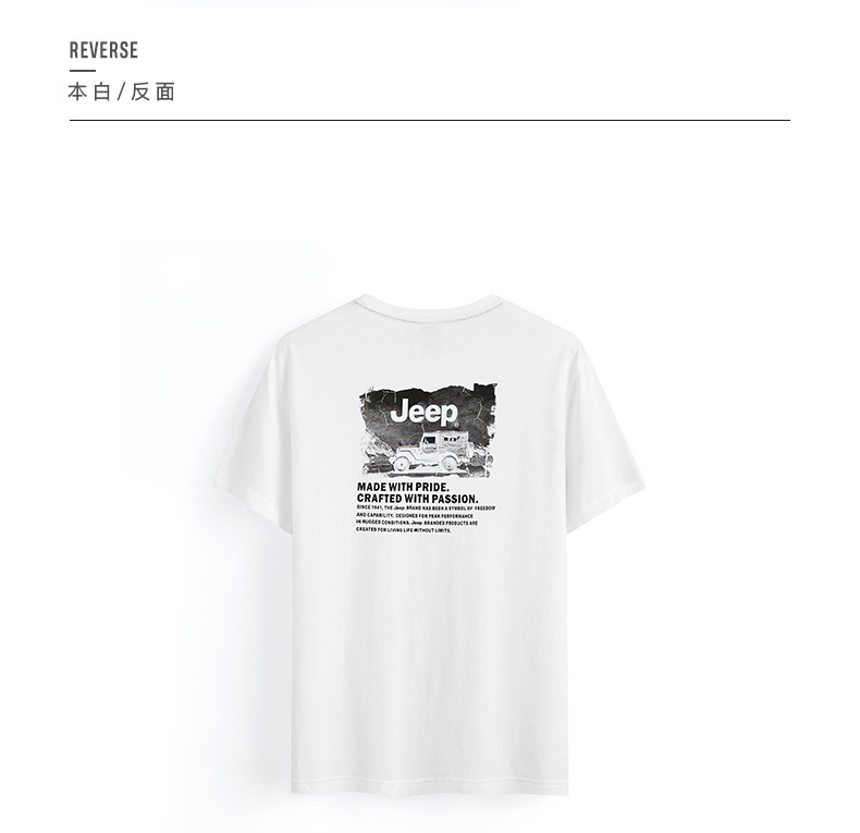 描述16.jpg 描述16.jpg