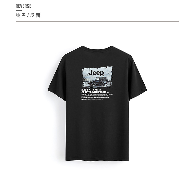 描述18.jpg 描述18.jpg