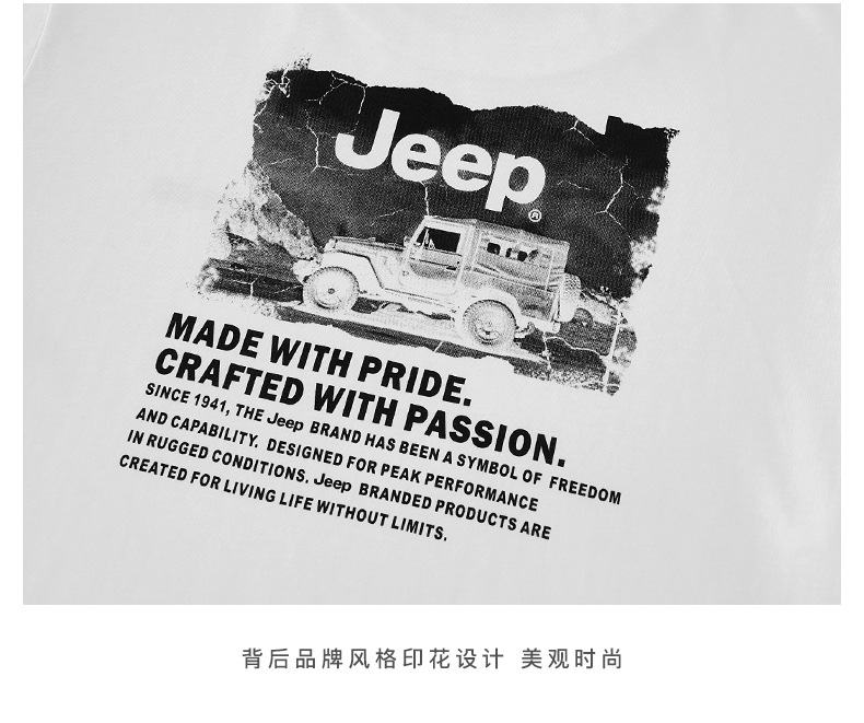 描述20.jpg 描述20.jpg