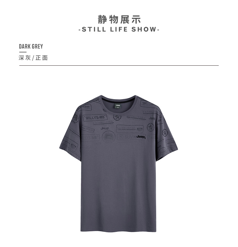 描述17.jpg 描述17.jpg