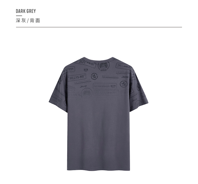 描述18.jpg 描述18.jpg