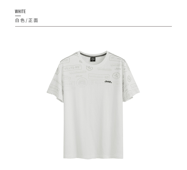 描述19.jpg 描述19.jpg