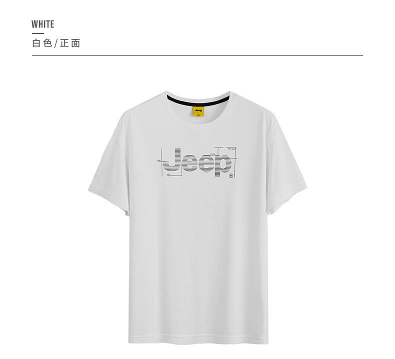 描述19.jpg 描述19.jpg