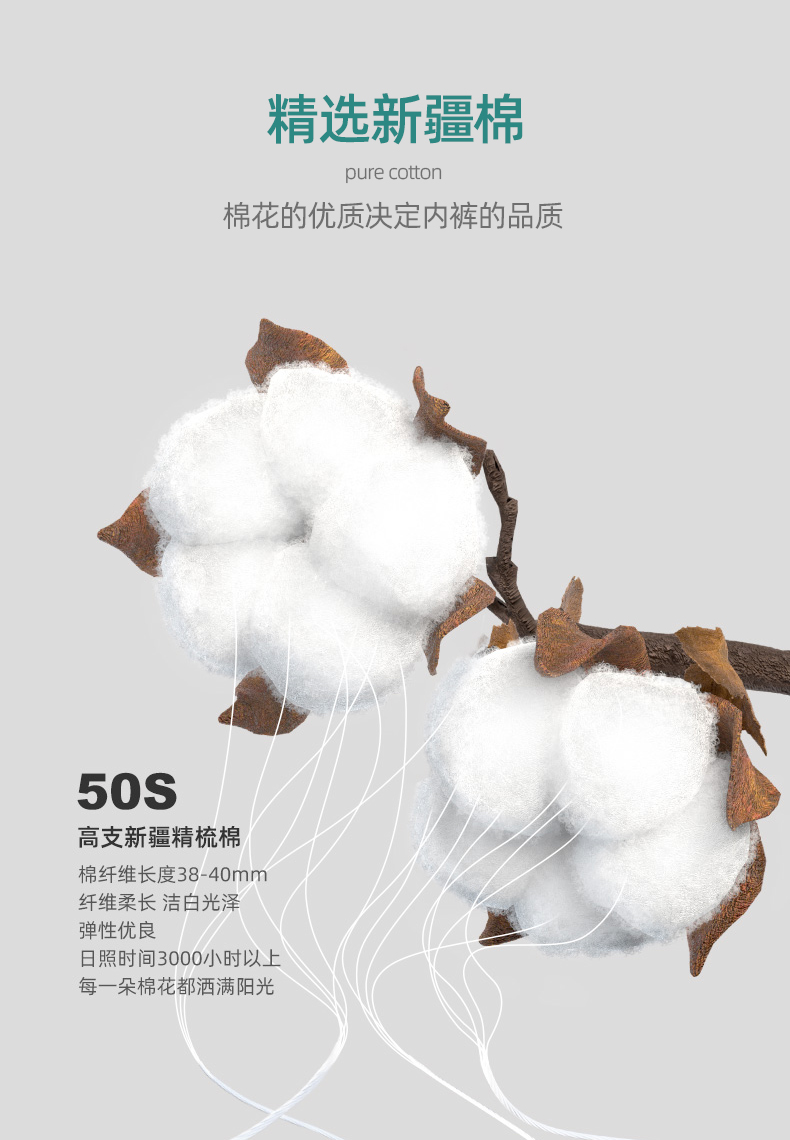 描述9.jpg